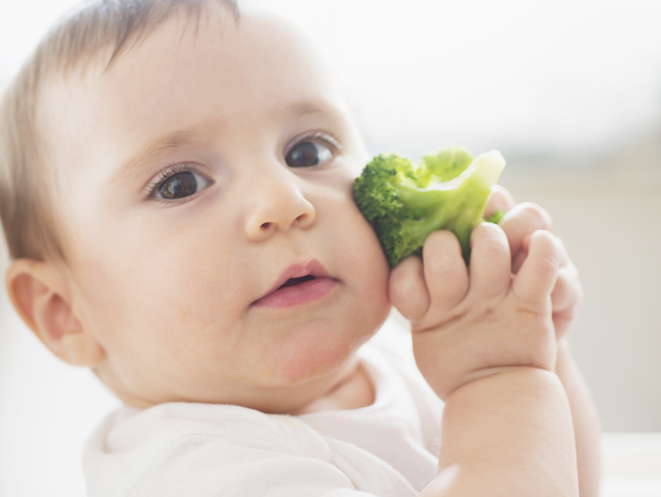 La Dme Qu Est Ce Que C Est Nactalia Bio Lait Infantile Bio Et Responsable La Dme Qu Est Ce Que C Est Nactalia Bio Lait Infantile Bio Et Responsable