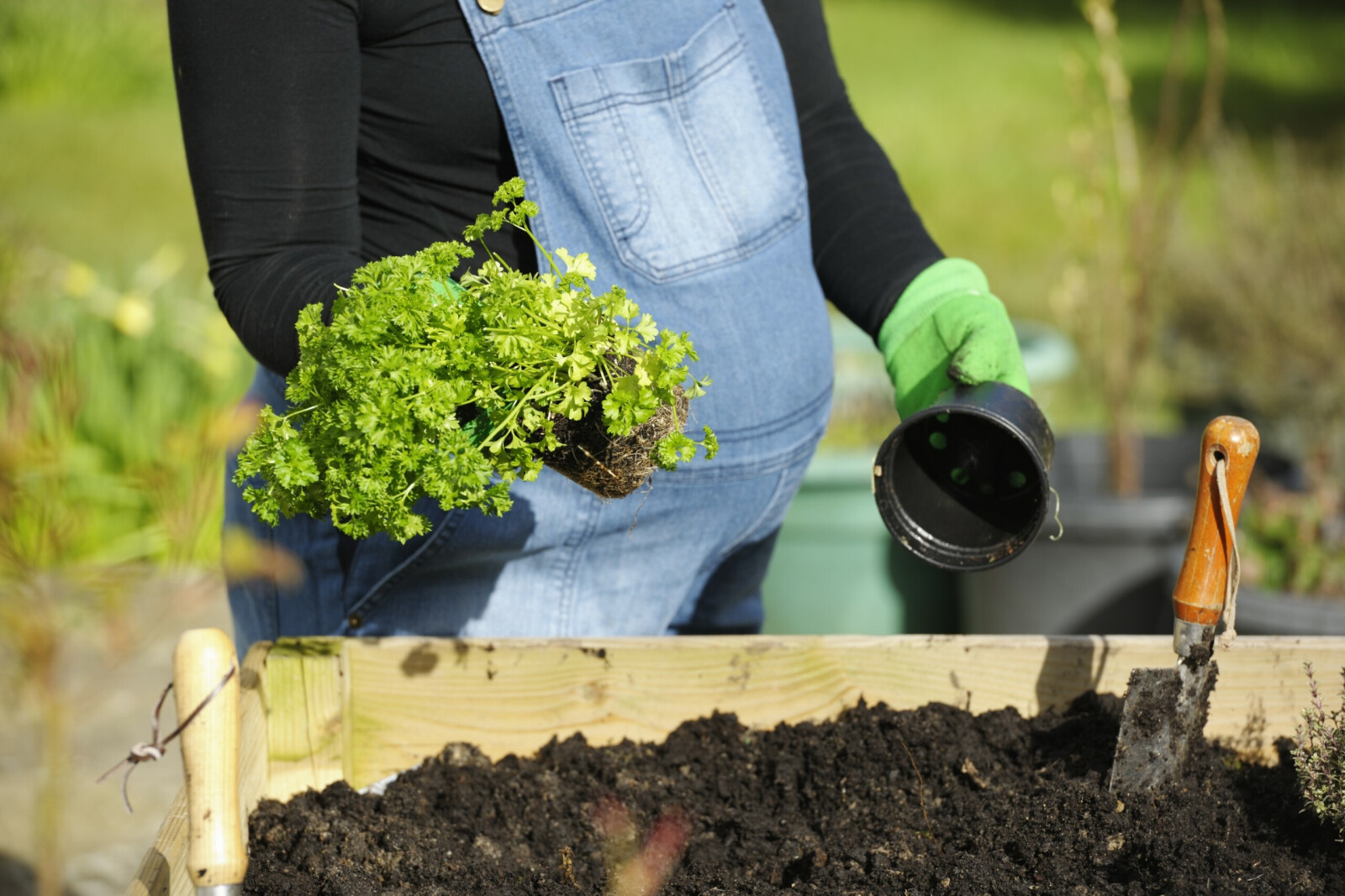 Les astuces pour le jardin :