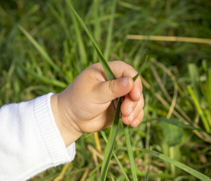 Un lait infantile Bio et Responsable de la ferme au biberon !