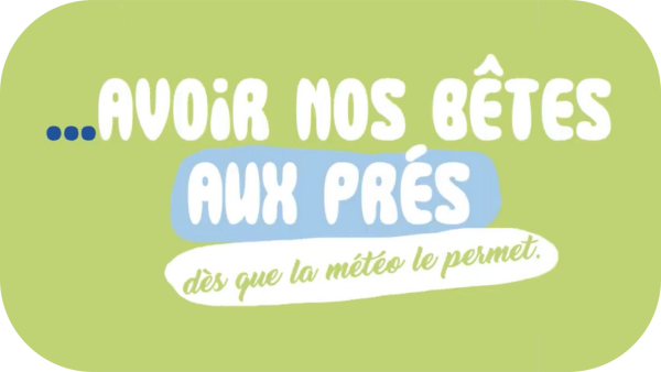 Des vaches au pré dès que la météo le permet